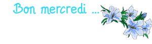 Gif animé Bon mercredi fleurs bleues